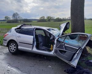 Na zdjęciu widać samochód osobowy marki Peugeot koloru srebrnego który ma uszkodzony przód w  wyniku zderzenia z drzewem.